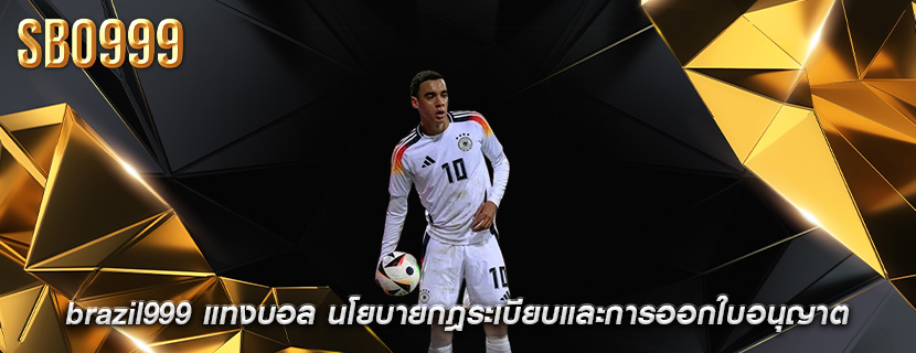 brazil999 แทงบอล นโยบายกฎระเบียบและการออกใบอนุญาต