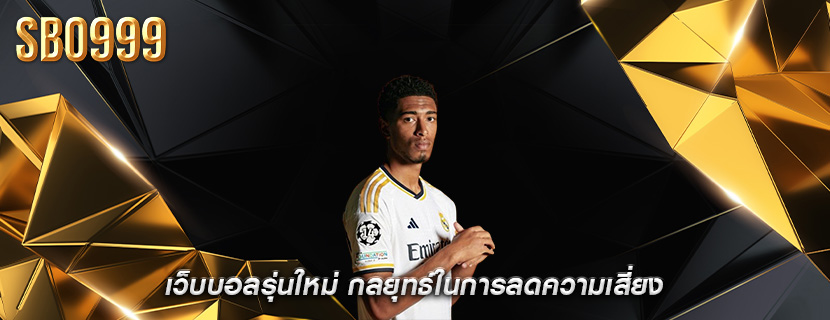 เว็บบอลรุ่นใหม่ กลยุทธ์ในการลดความเสี่ยง