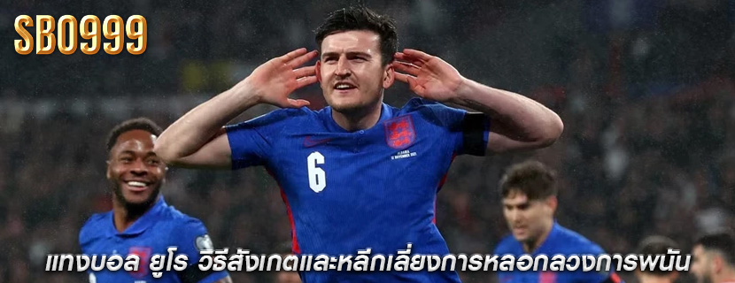 แทงบอล ยูโร วิธีสังเกตและหลีกเลี่ยงการหลอกลวงการพนัน
