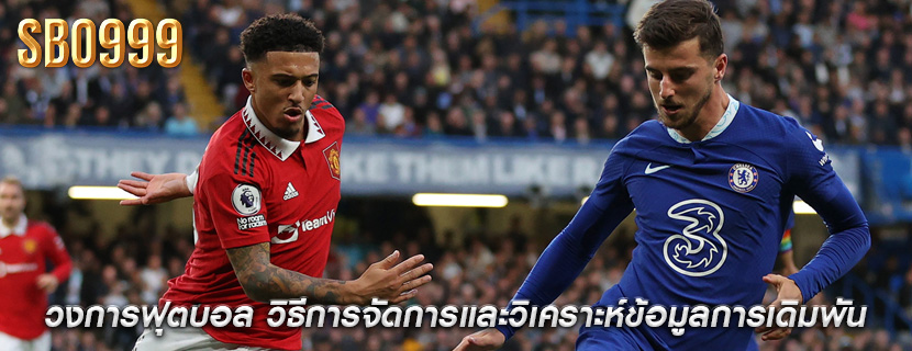 วงการฟุตบอล วิธีการจัดการและวิเคราะห์ข้อมูลการเดิมพัน