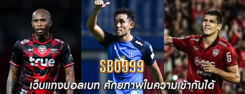 เว็บแทงบอลเบท ศักยภาพในความเข้ากันได้
