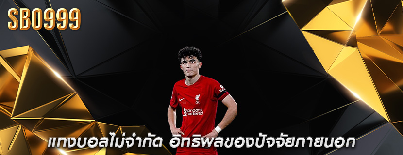 แทงบอลไม่จำกัด อิทธิพลของปัจจัยภายนอก