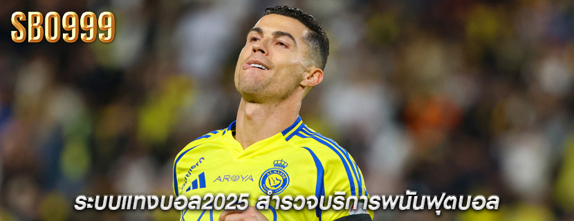 ระบบแทงบอล2025 สำรวจบริการพนันฟุตบอล