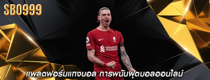 แพลตฟอร์มแทงบอล การพนันฟุตบอลออนไลน์