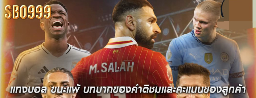 แทงบอล ฃนะแพ้ บทบาทของคำติชมและคะแนนของลูกค้า