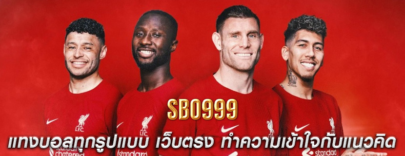 แทงบอลทุกรูปแบบ เว็บตรง ทำความเข้าใจกับแนวคิด